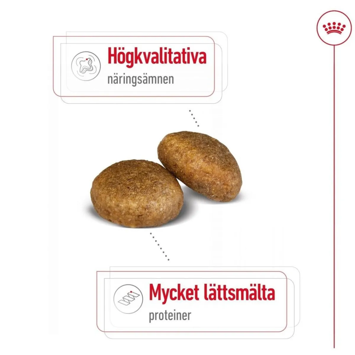 Royal Canin Koiran Kuivaruoka*Maxi Adult 2 x 15 kg