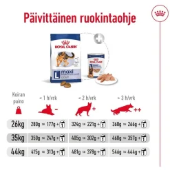Royal Canin Koiran Kuivaruoka*Maxi Adult 2 x 15 kg
