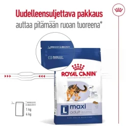 Royal Canin Koiran Kuivaruoka*Maxi Adult 2 x 15 kg