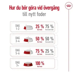 Royal Canin Koiran Kuivaruoka*Maxi Adult 2 x 15 kg