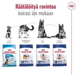 Royal Canin Koiran Kuivaruoka*Maxi Adult 2 x 15 kg