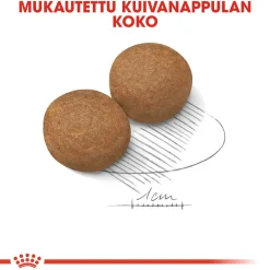 Royal Canin Koiran Kuivaruoka*Maxi Adult 2 x 15 kg