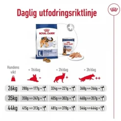 Royal Canin Koiran Kuivaruoka*Maxi Adult 2 x 15 kg