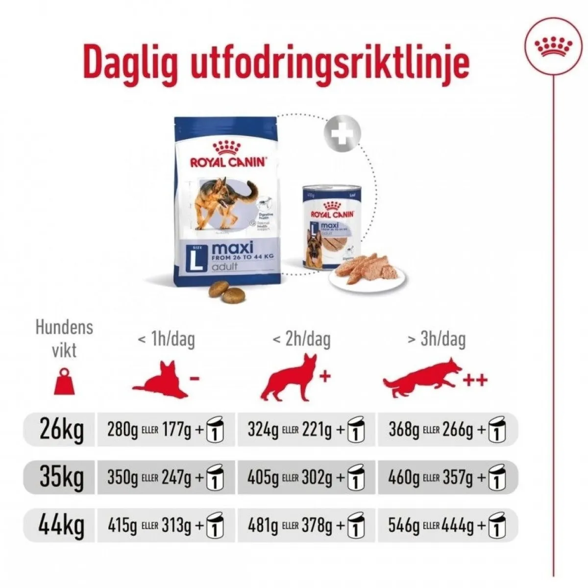 Royal Canin Koiran Kuivaruoka*Maxi Adult 2 x 15 kg