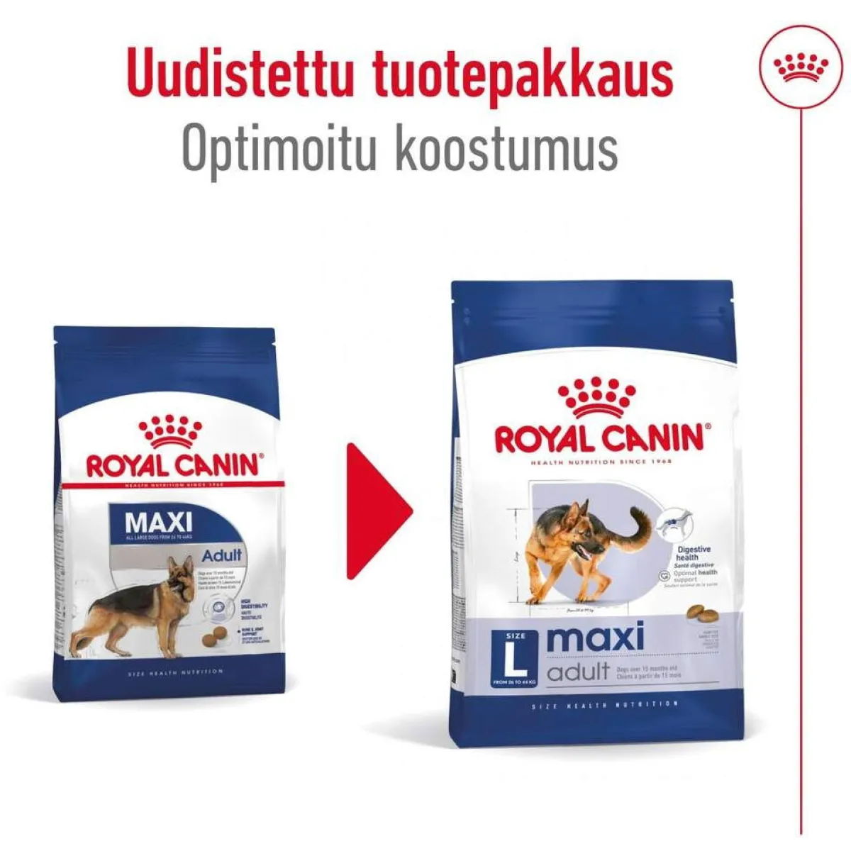 Royal Canin Koiran Kuivaruoka*Maxi Adult 2 x 15 kg