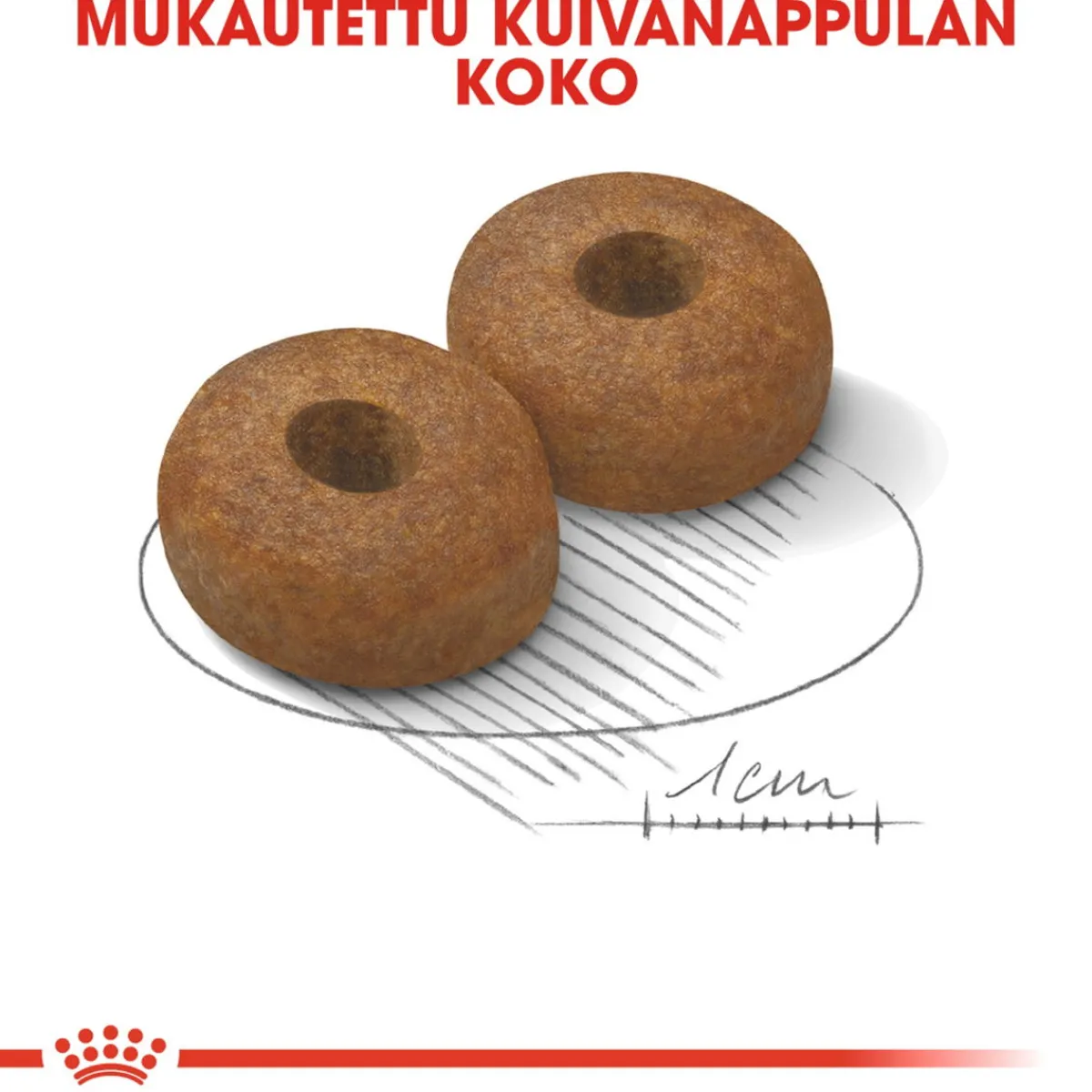 Royal Canin Koiran Kuivaruoka|Senioriruoka*Maxi Ageing 8+, 15 kg