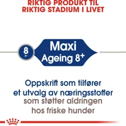 Royal Canin Koiran Kuivaruoka*Maxi Ageing 8+ 2 x 15kg