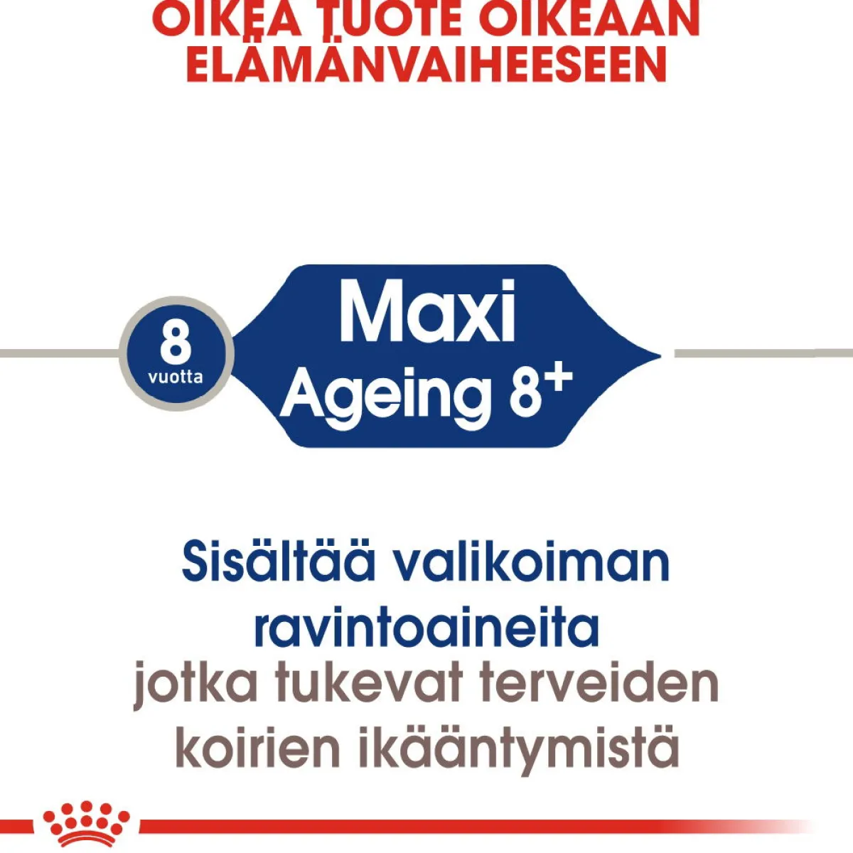 Royal Canin Koiran Kuivaruoka*Maxi Ageing 8+ 2 x 15kg