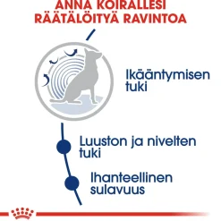 Royal Canin Koiran Kuivaruoka*Maxi Ageing 8+ 2 x 15kg