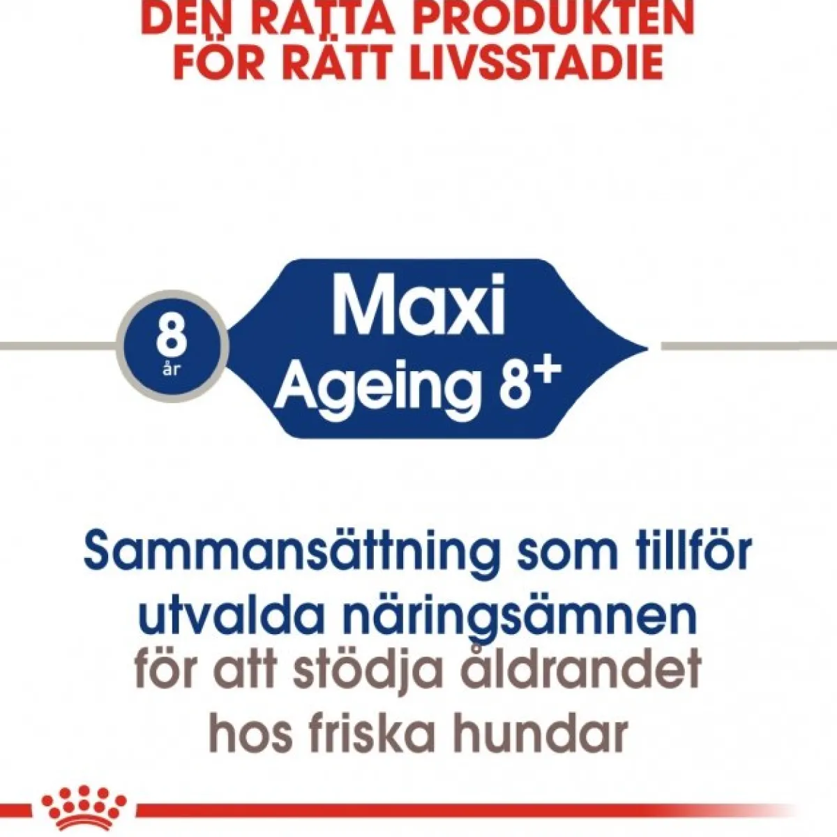 Royal Canin Koiran Kuivaruoka*Maxi Ageing 8+ 2 x 15kg