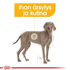 Royal Canin Koiranruoat Erityistapeisiin|Koiran Kuivaruoka*Maxi Dermacomfort