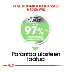 Royal Canin Koiran Kuivaruoka*Maxi Digestive Care