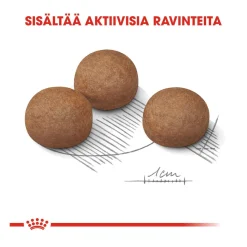 Royal Canin Koiran Kuivaruoka*Maxi Digestive Care