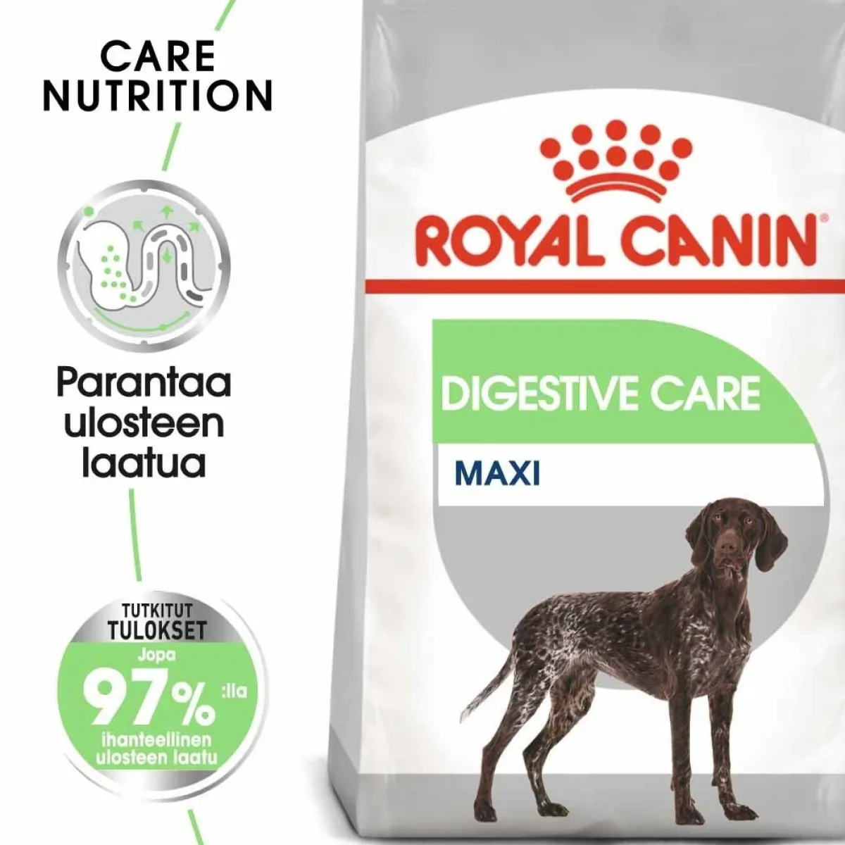 Royal Canin Koiran Kuivaruoka*Maxi Digestive Care