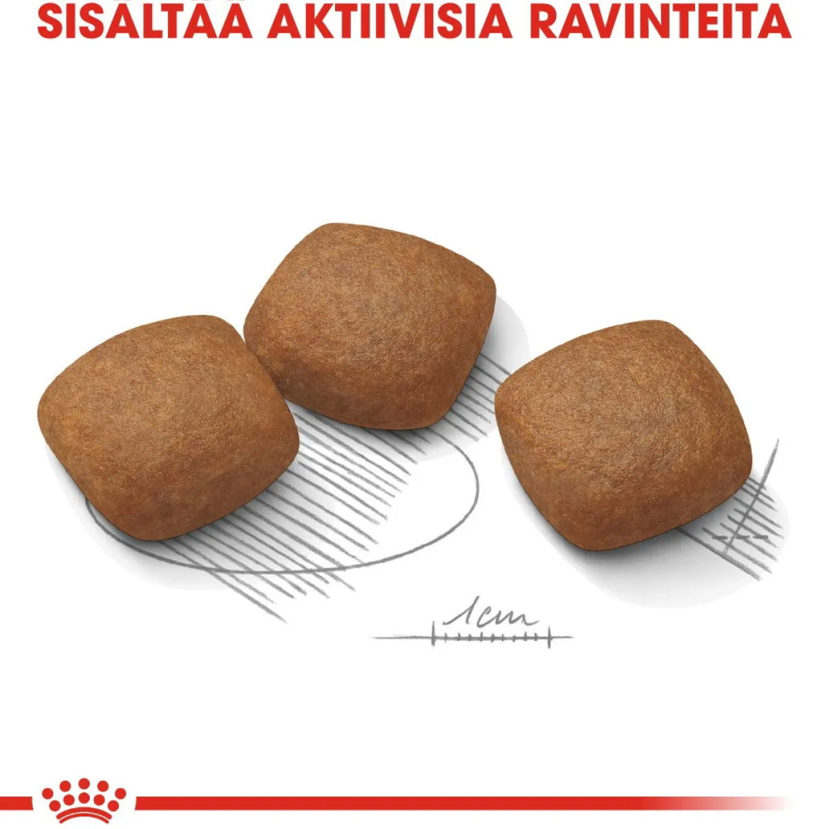 Royal Canin Koiran Kuivaruoka*Maxi Joint Care