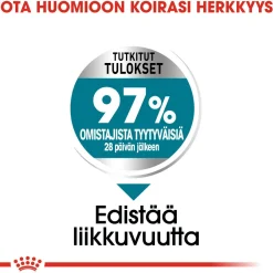 Royal Canin Koiran Kuivaruoka*Maxi Joint Care