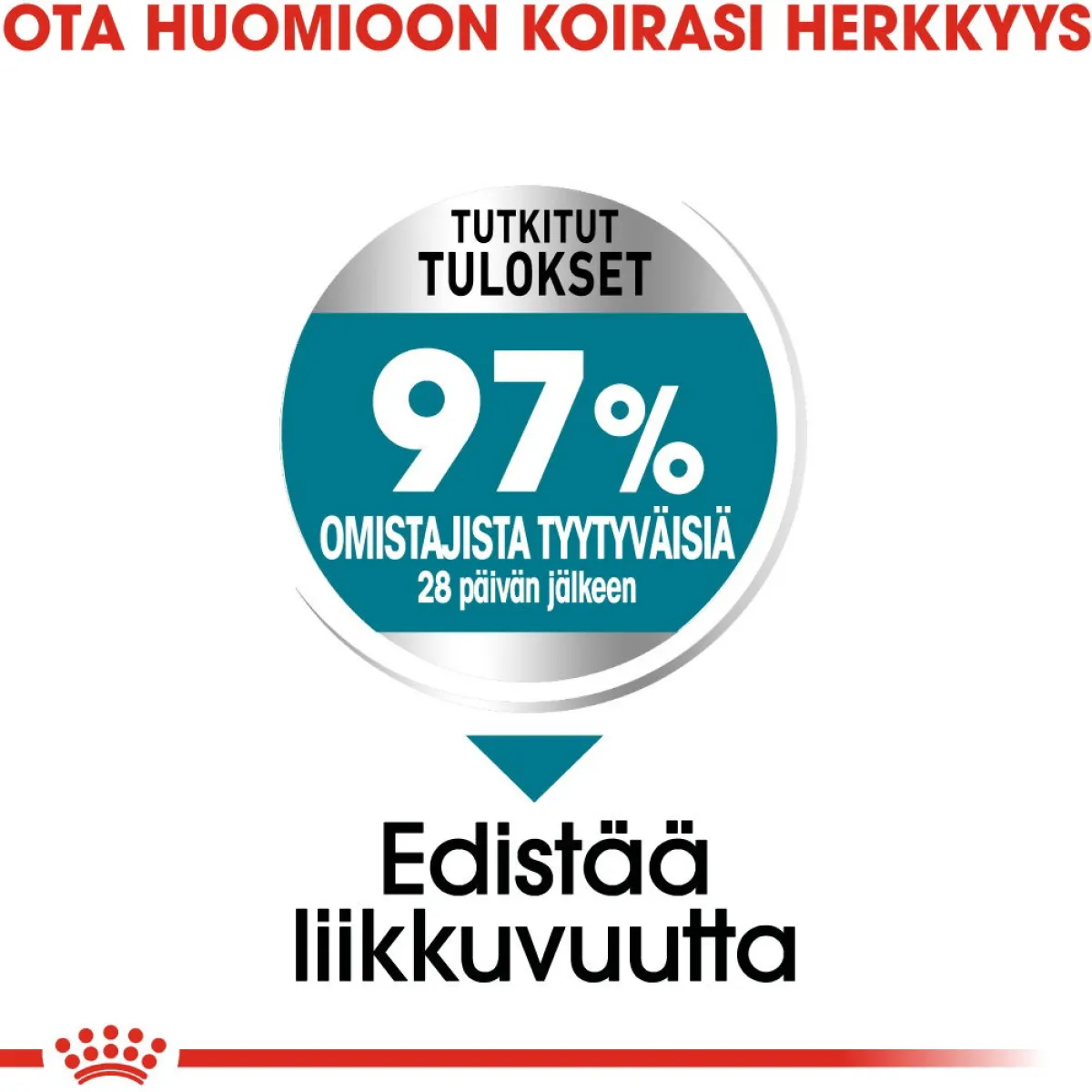 Royal Canin Koiran Kuivaruoka*Maxi Joint Care