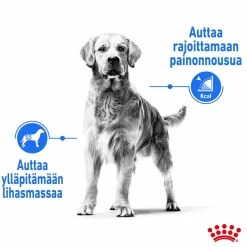 Royal Canin Koiranruoat Erityistapeisiin|Koiran Kuivaruoka*Maxi Light Weight Care