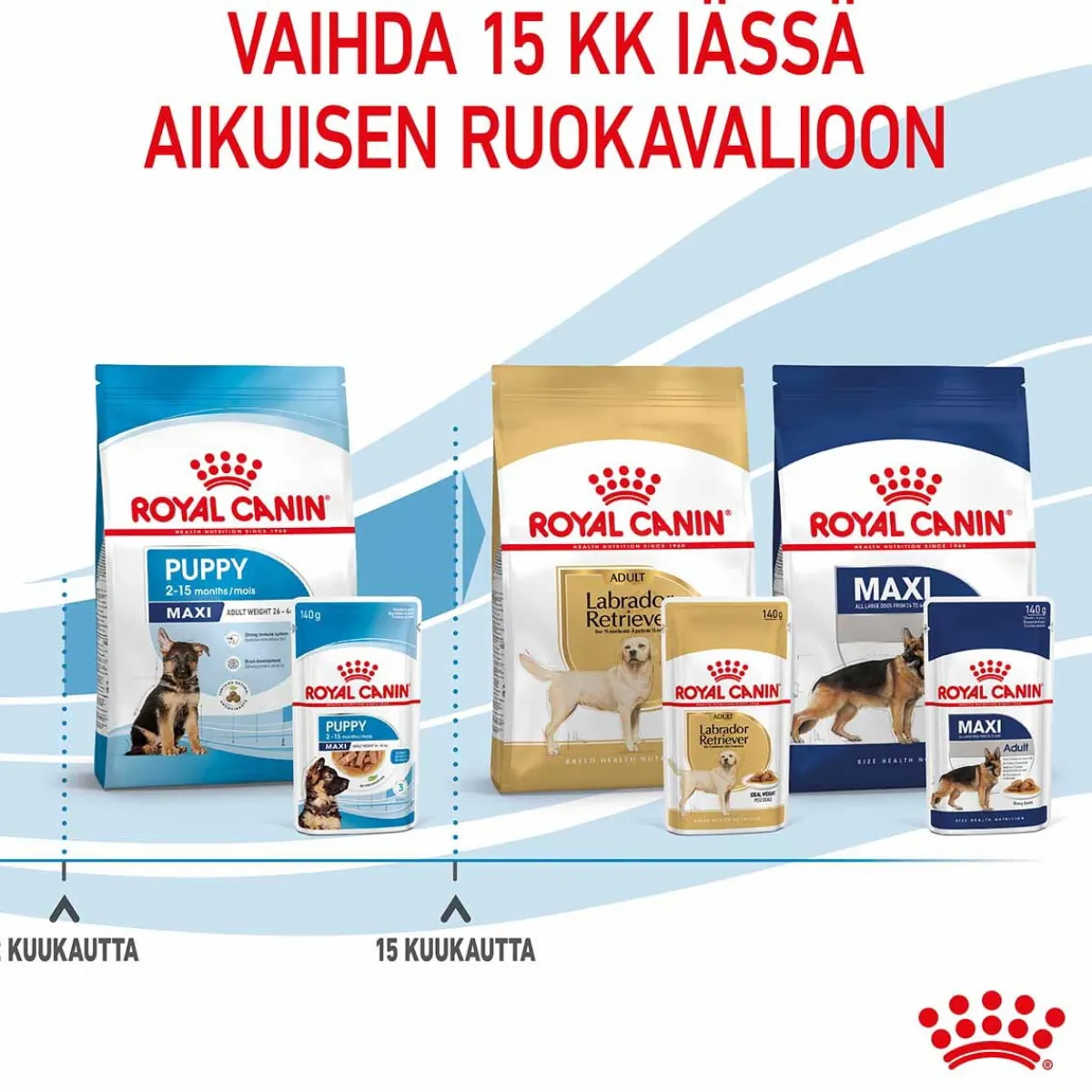 Royal Canin Penturuoka|Penturuoka*Maxi Puppy Wet 10x140g