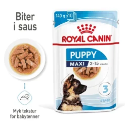 Royal Canin Penturuoka|Penturuoka*Maxi Puppy 40x140 g