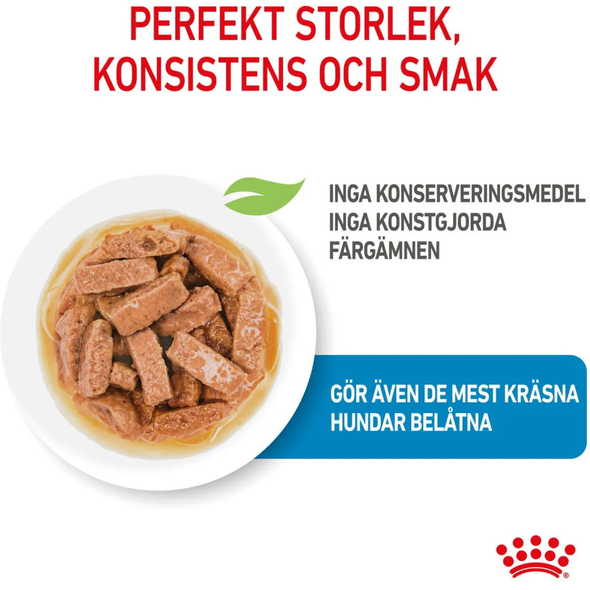 Royal Canin Penturuoka|Penturuoka*Maxi Puppy 40x140 g