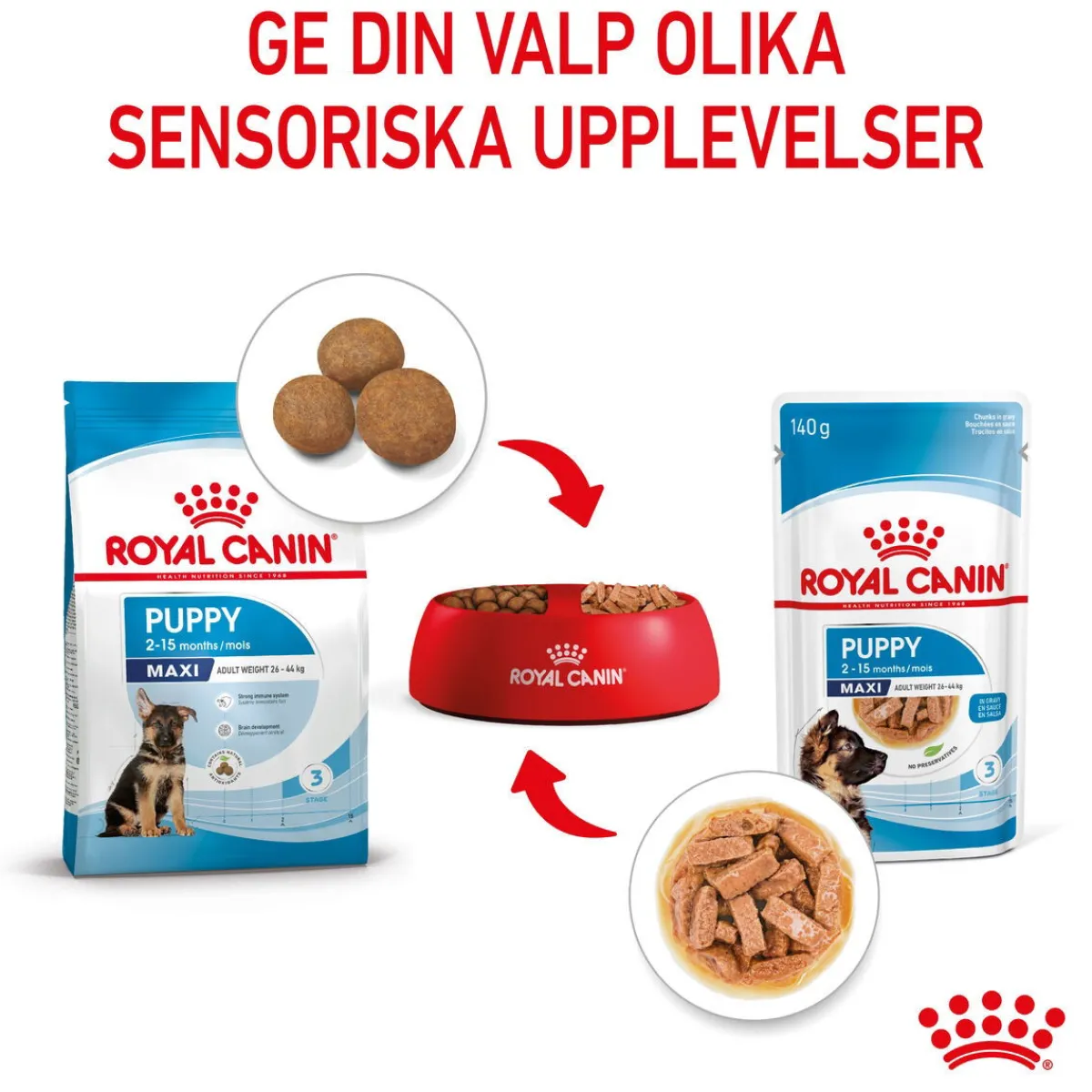 Royal Canin Penturuoka|Penturuoka*Maxi Puppy 40x140 g