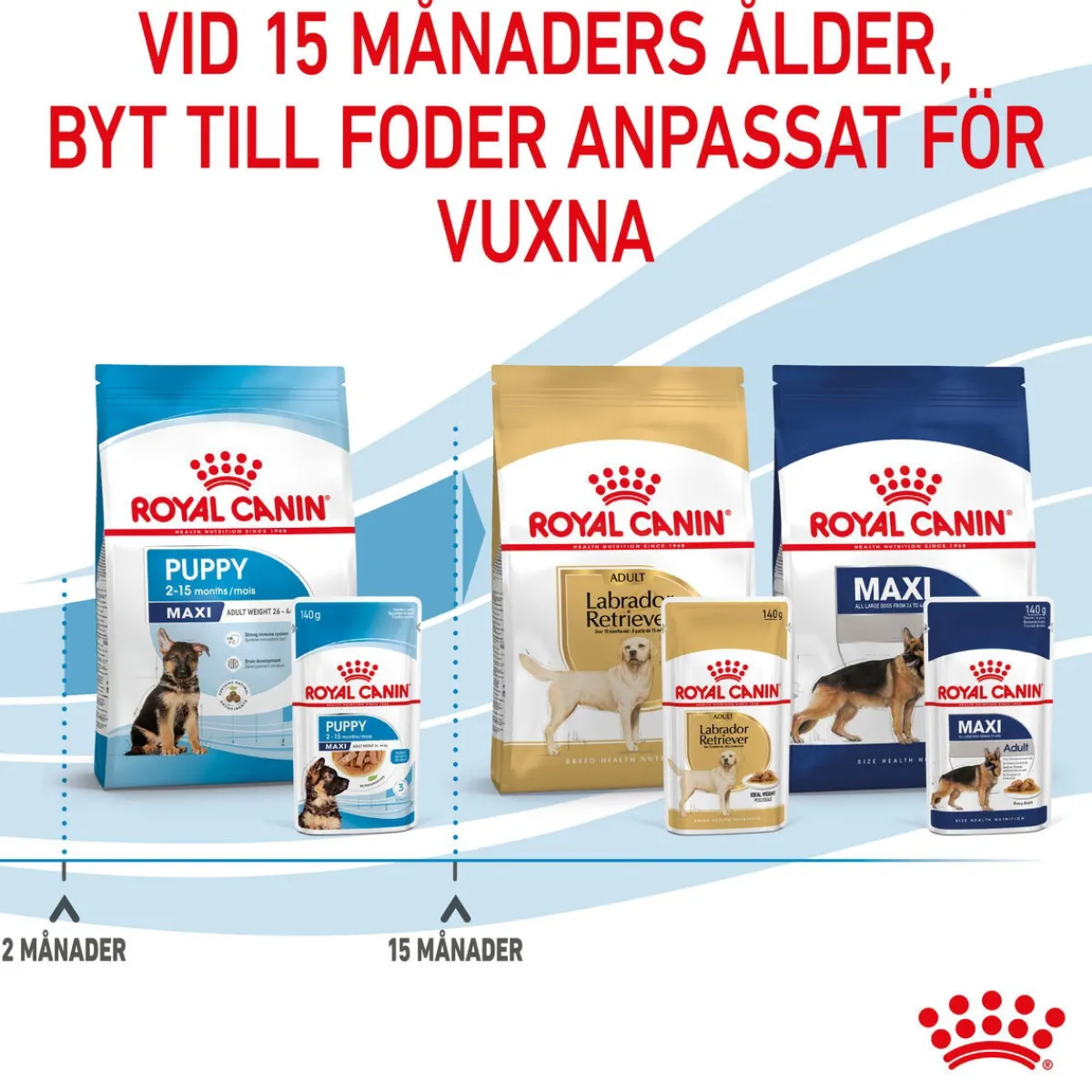 Royal Canin Penturuoka|Penturuoka*Maxi Puppy 40x140 g