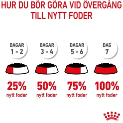 Royal Canin Penturuoka|Penturuoka*Maxi Puppy 40x140 g