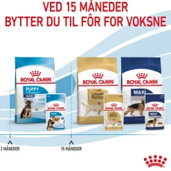 Royal Canin Penturuoka|Penturuoka*Maxi Puppy 40x140 g