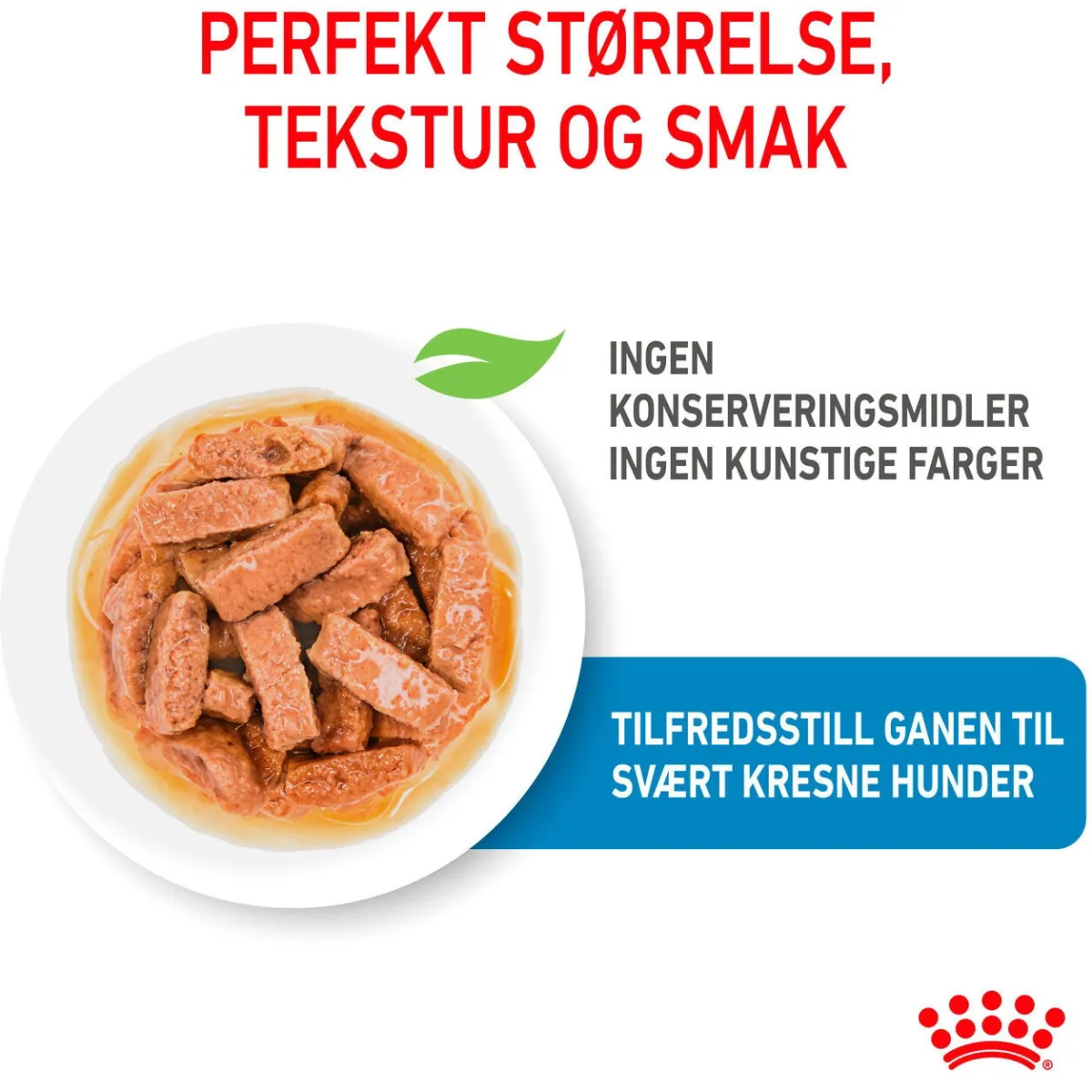 Royal Canin Penturuoka|Penturuoka*Maxi Puppy 40x140 g