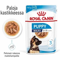 Royal Canin Penturuoka|Penturuoka*Maxi Puppy 40x140 g