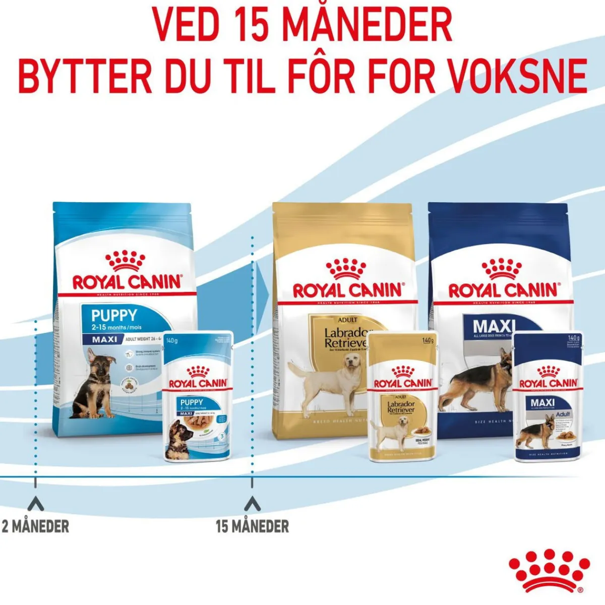 Royal Canin Penturuoka|Penturuoka*Maxi Puppy 40x140 g