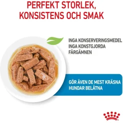 Royal Canin Penturuoka|Penturuoka*Maxi Puppy 40x140 g
