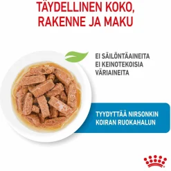Royal Canin Penturuoka|Penturuoka*Maxi Puppy 40x140 g