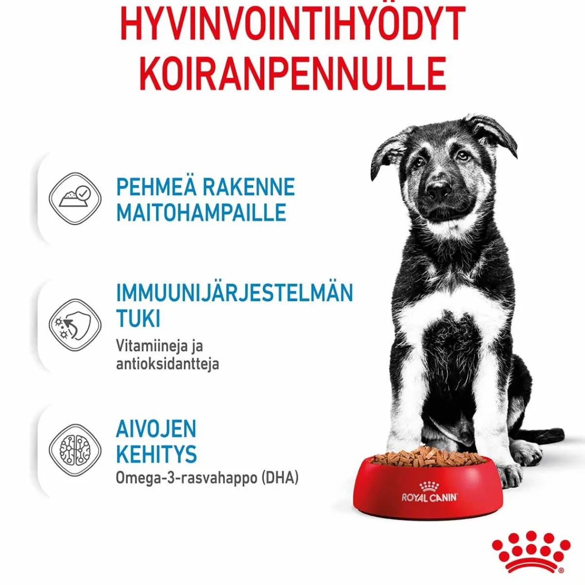 Royal Canin Penturuoka|Penturuoka*Maxi Puppy 40x140 g