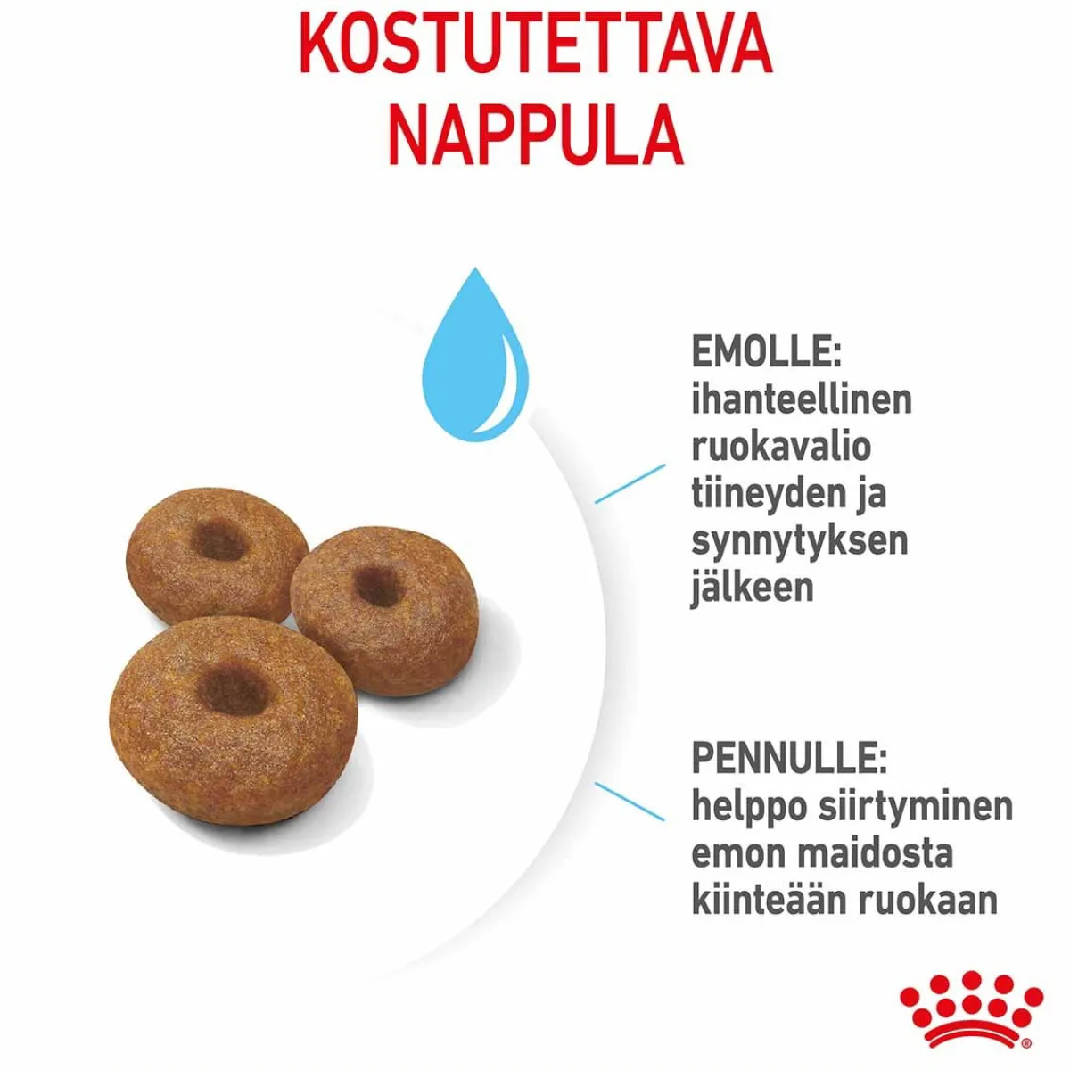 Royal Canin Penturuoka|Koiran Kuivaruoka*Maxi Starter