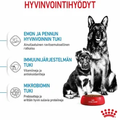 Royal Canin Penturuoka|Koiran Kuivaruoka*Maxi Starter