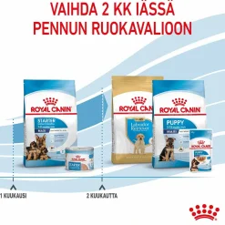 Royal Canin Penturuoka|Koiran Kuivaruoka*Maxi Starter