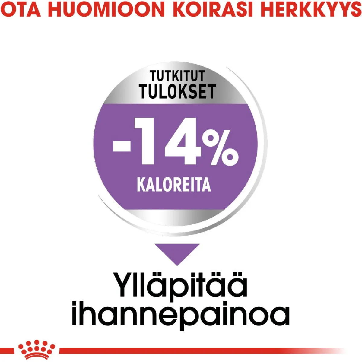 Royal Canin Koiranruoat Erityistapeisiin|Koiran Kuivaruoka*Maxi Sterilised, 12 kg