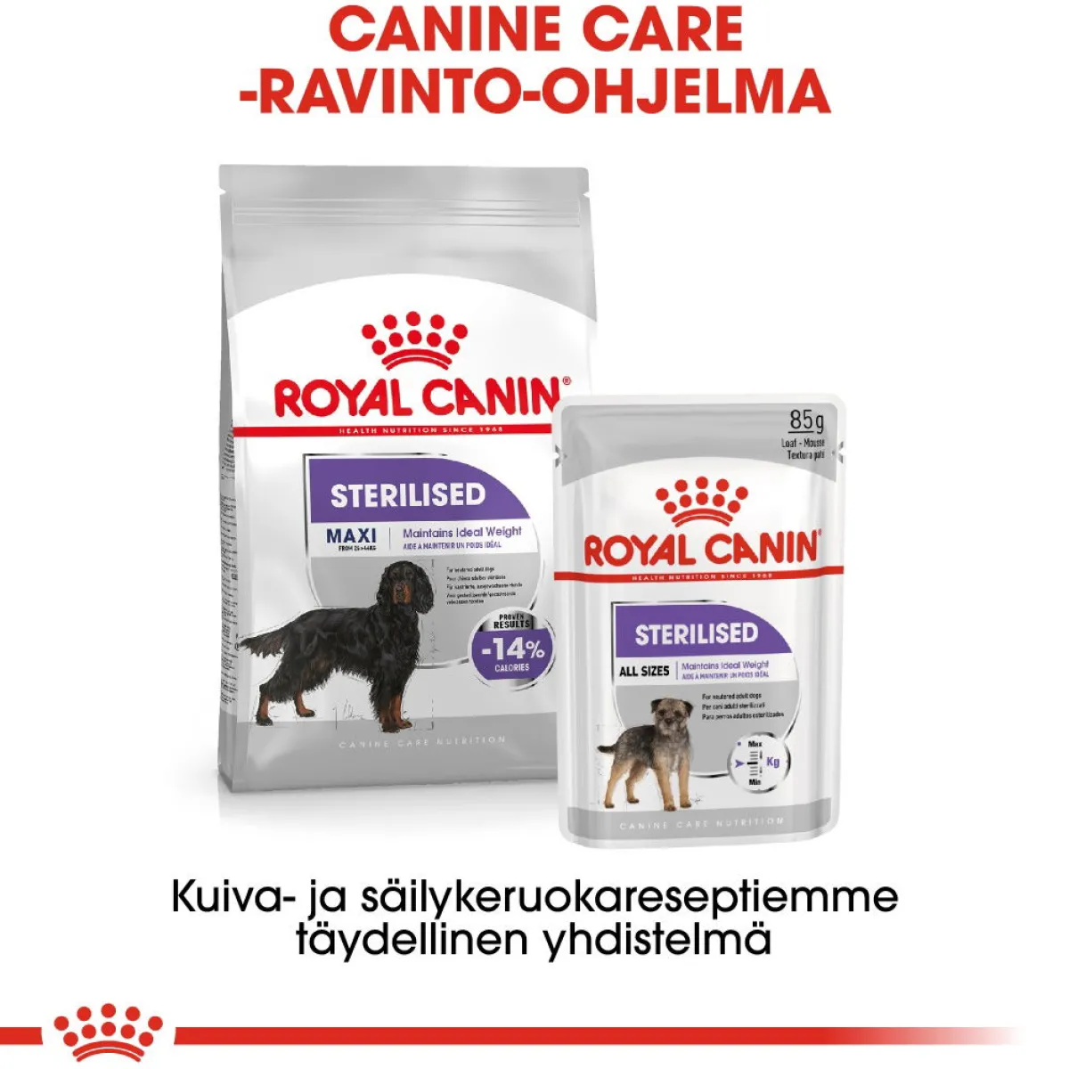 Royal Canin Koiranruoat Erityistapeisiin|Koiran Kuivaruoka*Maxi Sterilised, 12 kg