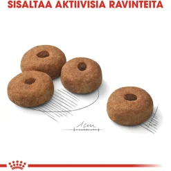 Royal Canin Koiranruoat Erityistapeisiin|Koiran Kuivaruoka*Maxi Sterilised, 12 kg