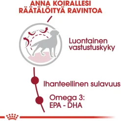 Royal Canin Koiran Kuivaruoka*Medium Adult