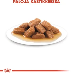 Royal Canin Koiran Märkäruoka Ja Makkarat*Medium Adult Wet 10x140g