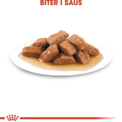 Royal Canin Koiran Märkäruoka Ja Makkarat*Medium Adult 40 x 140 g