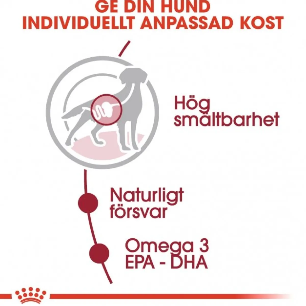Royal Canin Koiran Märkäruoka Ja Makkarat*Medium Adult 40 x 140 g