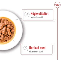 Royal Canin Koiran Märkäruoka Ja Makkarat*Medium Adult 40 x 140 g