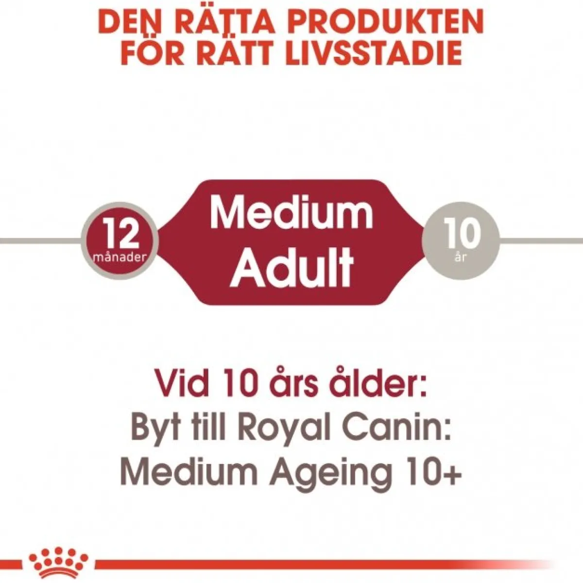 Royal Canin Koiran Märkäruoka Ja Makkarat*Medium Adult 40 x 140 g