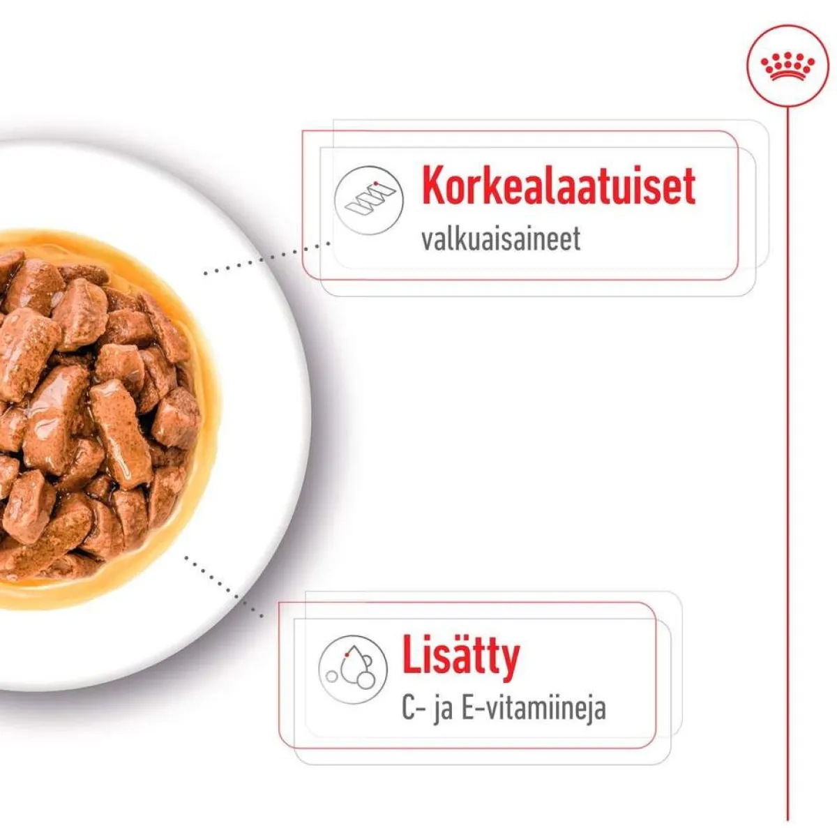Royal Canin Koiran Märkäruoka Ja Makkarat*Medium Adult 40 x 140 g