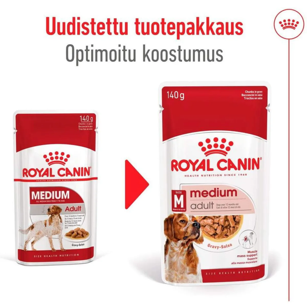 Royal Canin Koiran Märkäruoka Ja Makkarat*Medium Adult 40 x 140 g