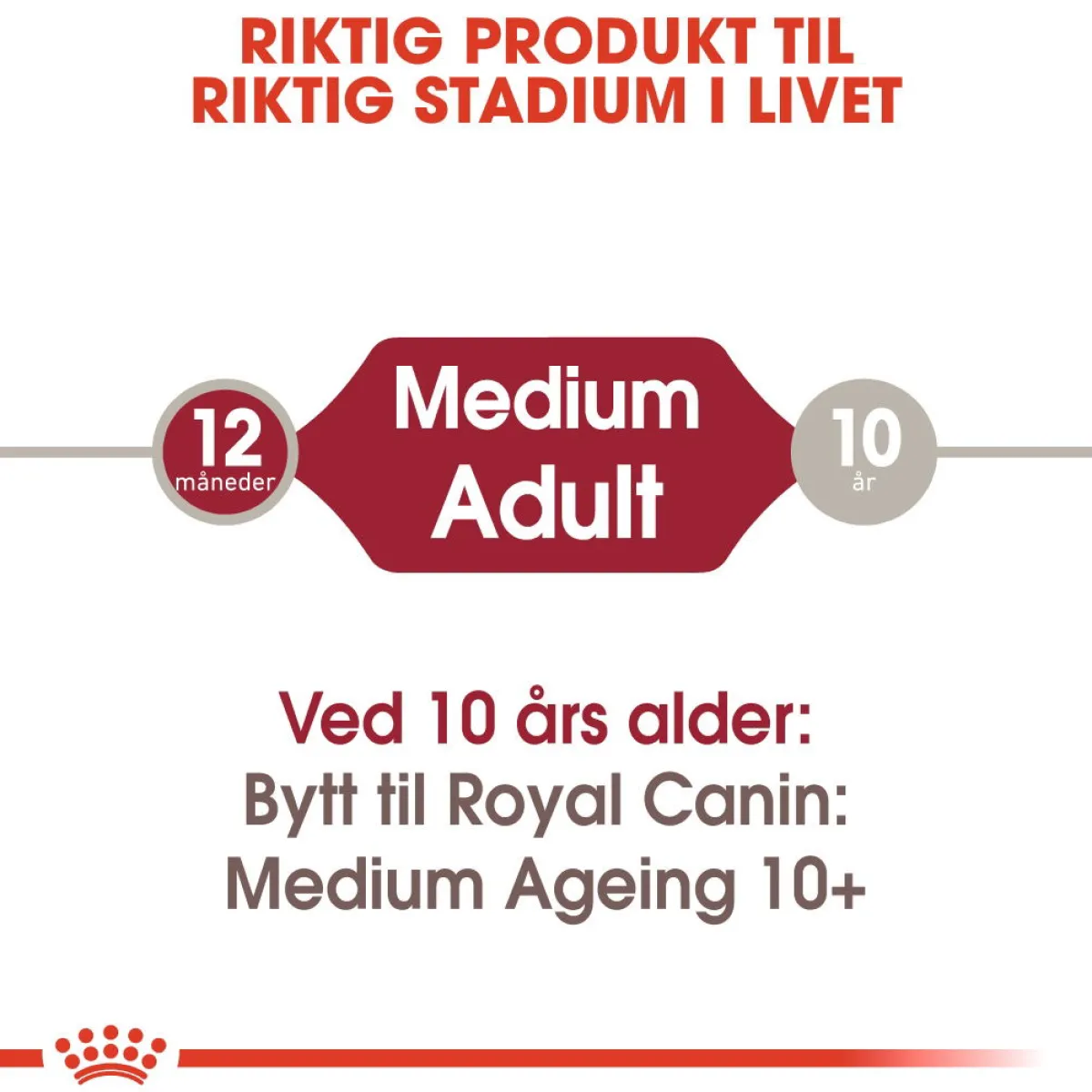 Royal Canin Koiran Märkäruoka Ja Makkarat*Medium Adult 40 x 140 g